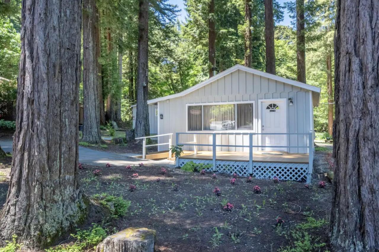 Masoods Lodge Boulder Creek 외부 사진